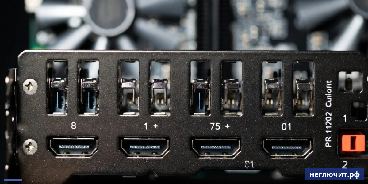 Подключение DisplayPort кабеля к видеокарте на задней панели ПК — настройка двух мониторов
